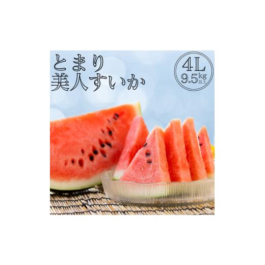 ふるさと納税 スイカ 鳥取県 湯梨浜町 16M.とまり美人西瓜 4L