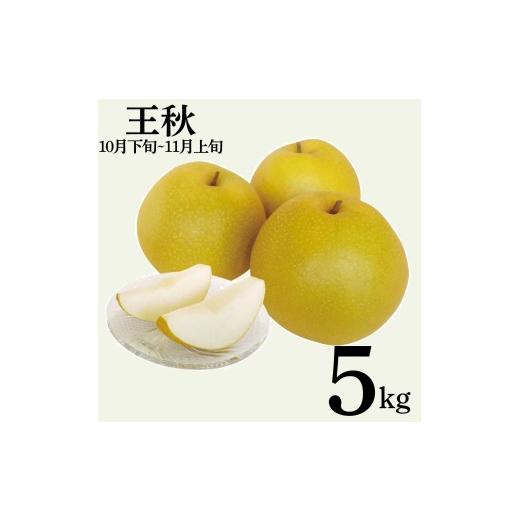 ふるさと納税 梨 鳥取県 湯梨浜町 12M.王秋5kg