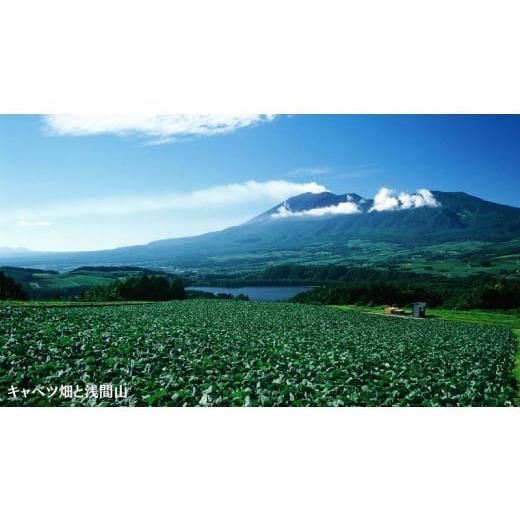 ふるさと納税 群馬県 嬬恋村 嬬恋村 で使える 感謝券 3,000円 分 （3枚） 観光 旅行券 宿泊券 旅行 温泉 スキー ゴルフ ペンション 万座 浅間高原 鹿沢 バラギ…｜furusatochoice｜07