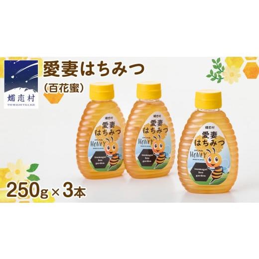 ふるさと納税 群馬県 嬬恋村 嬬恋村 愛妻はちみつ ( 百花 ) 250g 3個セット はちみつ ハチミツ 国産 蜂蜜 群馬 [AC002tu]