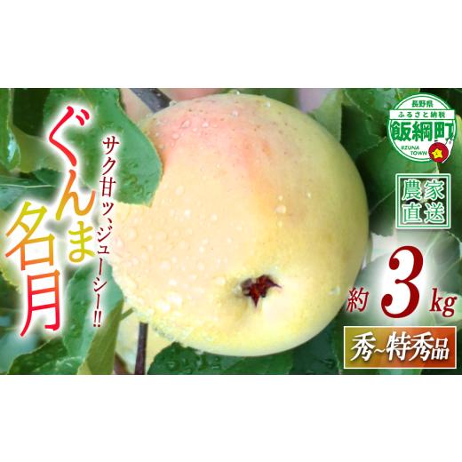 ふるさと納税 りんご 長野県 飯綱町 りんご ぐんま名月 秀 〜 特秀 3kg 丸山りんご園 沖縄県への配送不可 2026年11月上旬頃から2026年12月上旬頃まで順次発送…
