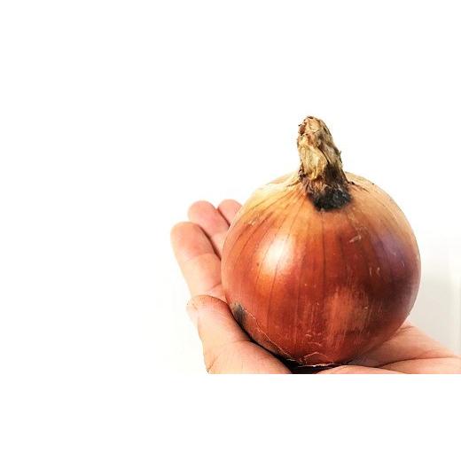 ふるさと納税 野菜類 玉ねぎ 北海道 栗山町  11月発送 越冬用特別栽培玉ねぎ10kg A003の画像
