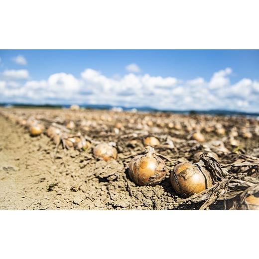 ふるさと納税 野菜類 玉ねぎ 北海道 栗山町  11月発送 越冬用特別栽培玉ねぎ10kg A003の画像