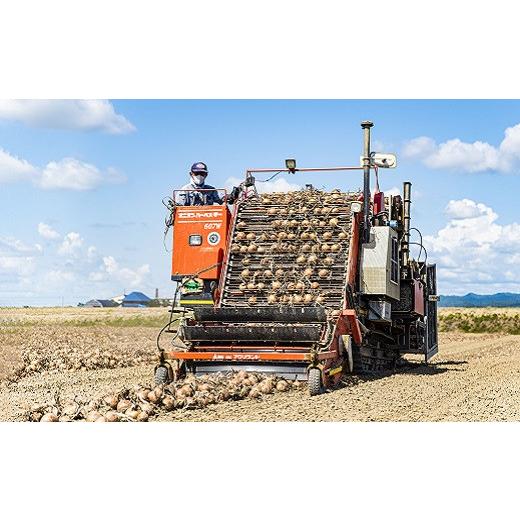 ふるさと納税 野菜類 玉ねぎ 北海道 栗山町  12月発送 越冬用特別栽培玉ねぎ10kg A004の画像