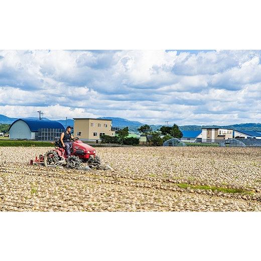 ふるさと納税 野菜類 玉ねぎ 北海道 栗山町  12月発送 越冬用特別栽培玉ねぎ10kg A004の画像