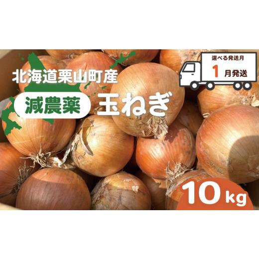 ふるさと納税 野菜類 玉ねぎ 北海道 栗山町  2027年1月発送 越冬用特別栽培玉ねぎ10kg A005の画像
