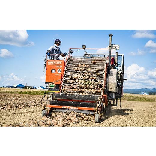 ふるさと納税 野菜類 玉ねぎ 北海道 栗山町  2027年1月発送 越冬用特別栽培玉ねぎ10kg A005の画像