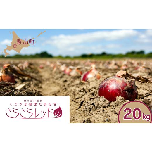 ふるさと納税 野菜類 玉ねぎ 北海道 栗山町 くりやま健康タマネギ「さらさらレッド」20kg F015の画像