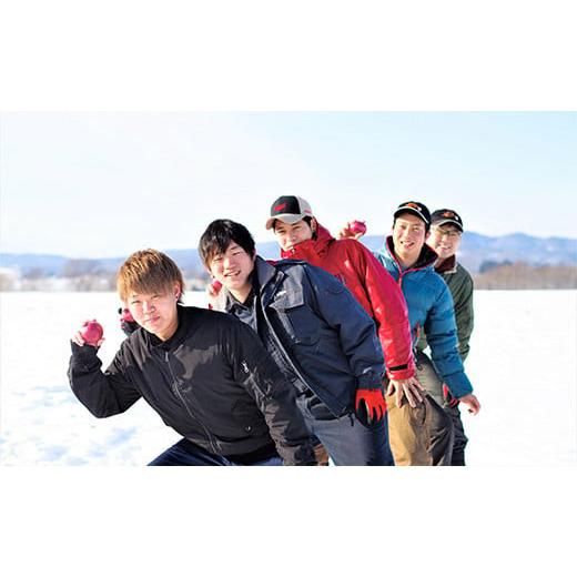 ふるさと納税 野菜類 玉ねぎ 北海道 栗山町 くりやま健康タマネギ「さらさらレッド」20kg F015の画像