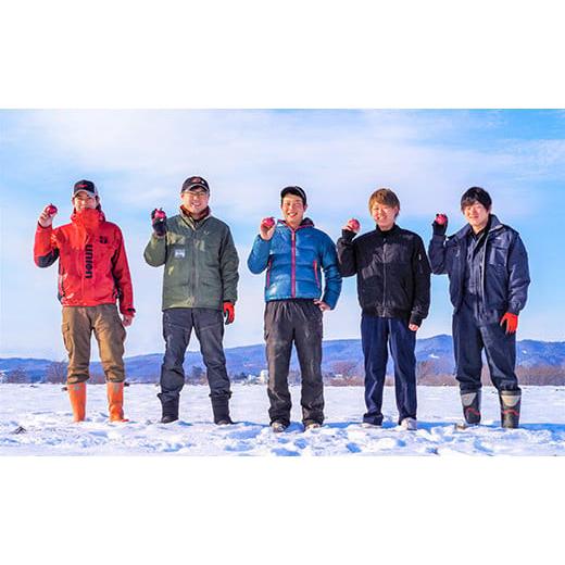ふるさと納税 野菜類 玉ねぎ 北海道 栗山町 くりやま健康タマネギ「さらさらレッド」20kg F015の画像