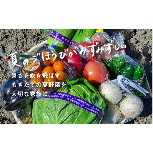ふるさと納税 セット・詰合せ 北海道 栗山町 大地の恵み 「新鮮 夏野菜セット」　B035_1