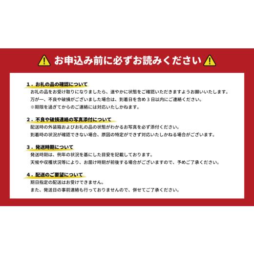 ふるさと納税 セット・詰合せ 北海道 栗山町 大地の恵み 「新鮮 夏野菜セット」　B035_2