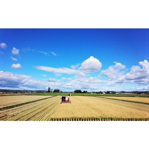 お買い得！ ふるさと納税 北海道 栗山町 【玄米12ヶ月定期便】特別栽培米ゆきひかり2kg×3袋　Q006 【MYK1936344154】(68200円)