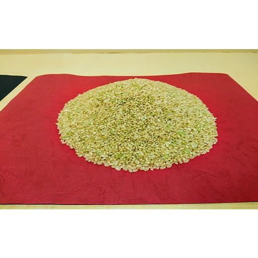 お買い得！ ふるさと納税 北海道 栗山町 【玄米12ヶ月定期便】特別栽培米ゆきひかり2kg×3袋　Q006 【MYK1936344154】(68200円)