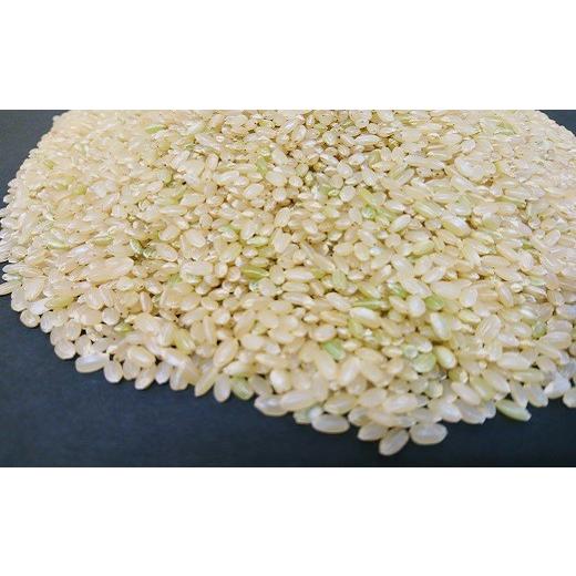 お買い得！ ふるさと納税 北海道 栗山町 【玄米12ヶ月定期便】特別栽培米ゆきひかり2kg×3袋　Q006 【MYK1936344154】(68200円)