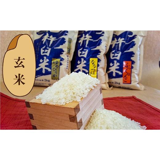 【新登場】 ふるさと納税 北海道 栗山町 【玄米6ヶ月定期便食べ比べセット】特別栽培「きなうす米」 毎月3品種×5kg計15kg　R003 【LWH2157517949】(75990円)