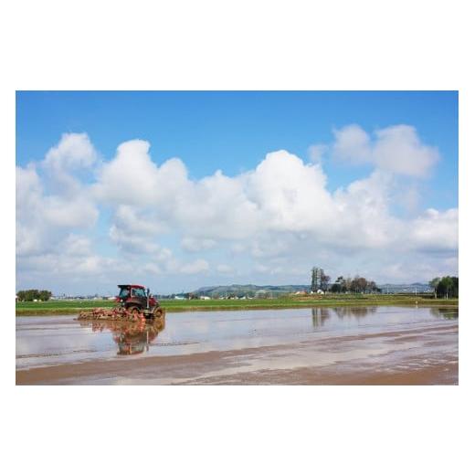 【新登場】 ふるさと納税 北海道 栗山町 【玄米6ヶ月定期便食べ比べセット】特別栽培「きなうす米」 毎月3品種×5kg計15kg　R003 【LWH2157517949】(75990円)