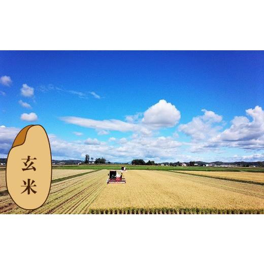 【新登場】 ふるさと納税 北海道 栗山町 【玄米6ヶ月定期便食べ比べセット】特別栽培「きなうす米」 毎月3品種×5kg計15kg　R003 【LWH2157517949】(75990円)