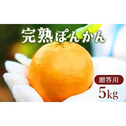 ふるさと納税 みかん・柑橘類 高知県 東洋町 完熟ぽんかん 贈答用(特大サイズ) 5kg 特大(贈答用) 5kg
