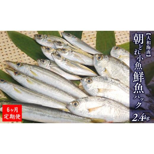 ふるさと納税 旬の鮮魚等 宮崎県 延岡市  6ヶ月定期便 大和海商の朝どれ鮮魚小魚パック2.4kg N072-YE093の画像