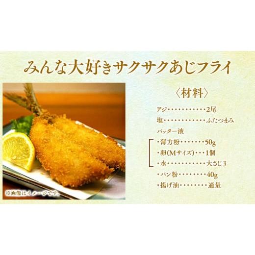 ふるさと納税 旬の鮮魚等 宮崎県 延岡市  6ヶ月定期便 大和海商の朝どれ鮮魚小魚パック2.4kg N072-YE093の画像