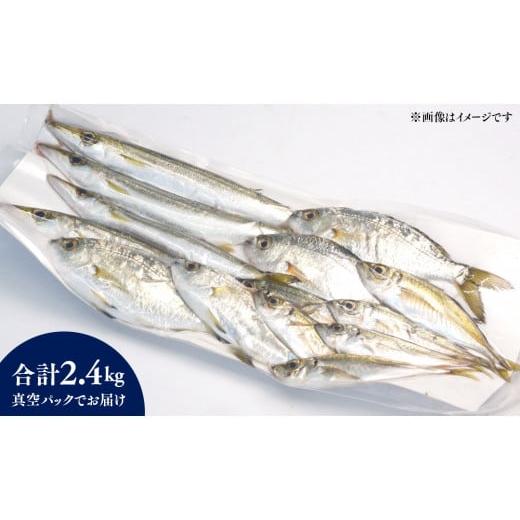 ふるさと納税 旬の鮮魚等 宮崎県 延岡市  6ヶ月定期便 大和海商の朝どれ鮮魚小魚パック2.4kg N072-YE093の画像