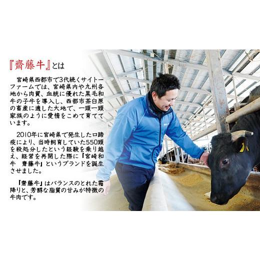 ふるさと納税 自治体にお任せ 宮崎県 西都市 宮崎和牛 齋藤牛サイコロステーキ600g 黒毛和牛 赤身肉主体 訳あり 牛肉 ステーキ サイトーファームブランド 2-99… |  | 05