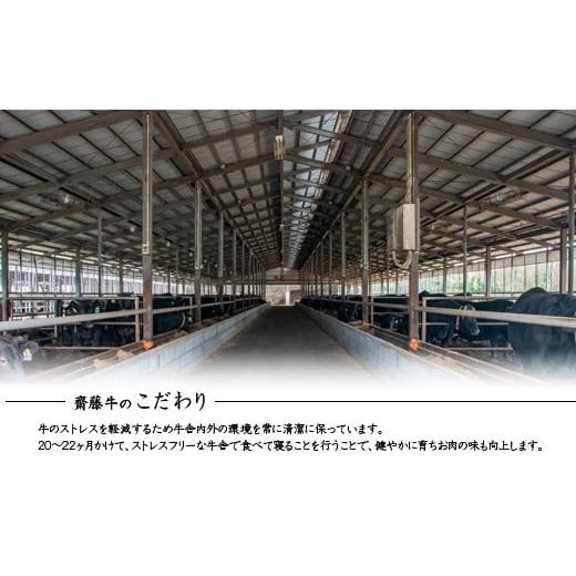 ふるさと納税 自治体にお任せ 宮崎県 西都市 宮崎和牛 齋藤牛サイコロステーキ600g 黒毛和牛 赤身肉主体 訳あり 牛肉 ステーキ サイトーファームブランド 2-99… |  | 06