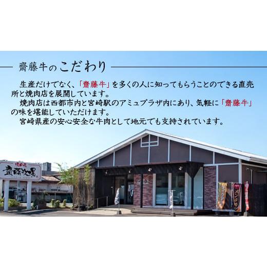 ふるさと納税 自治体にお任せ 宮崎県 西都市 宮崎和牛 齋藤牛サイコロステーキ600g 黒毛和牛 赤身肉主体 訳あり 牛肉 ステーキ サイトーファームブランド 2-99… |  | 07