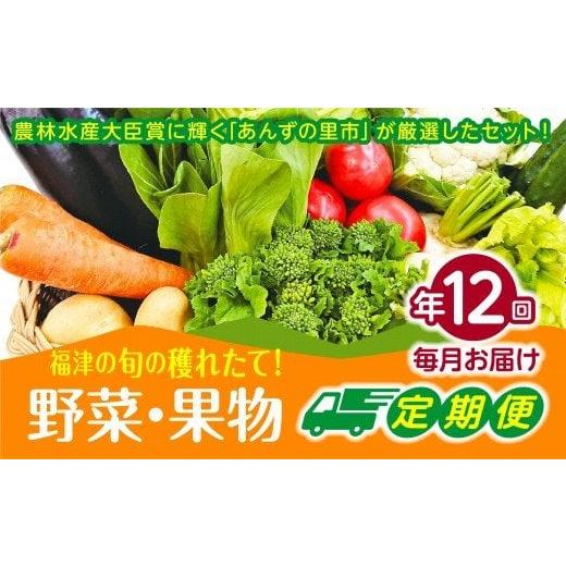 ふるさと納税 セット・詰合せ 福岡県 福津市  年12回毎月 穫れたて 旬の野菜・果物定期便 あんずの里 随時開始 G7010_1