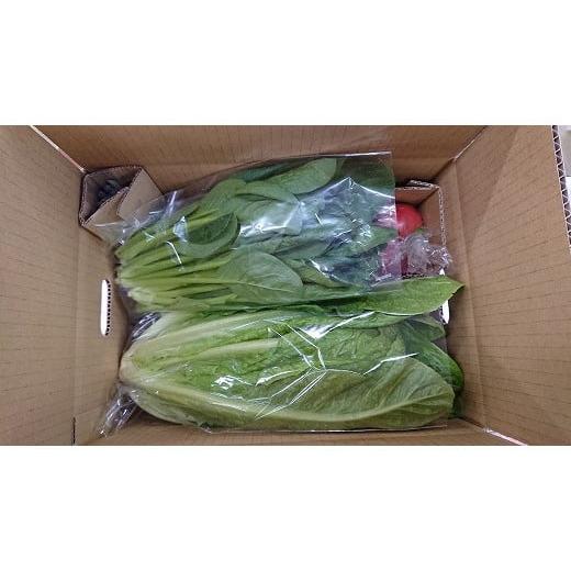 ふるさと納税 セット・詰合せ 福岡県 福津市  年12回毎月 穫れたて 旬の野菜・果物定期便 あんずの里 随時開始 G7010_5