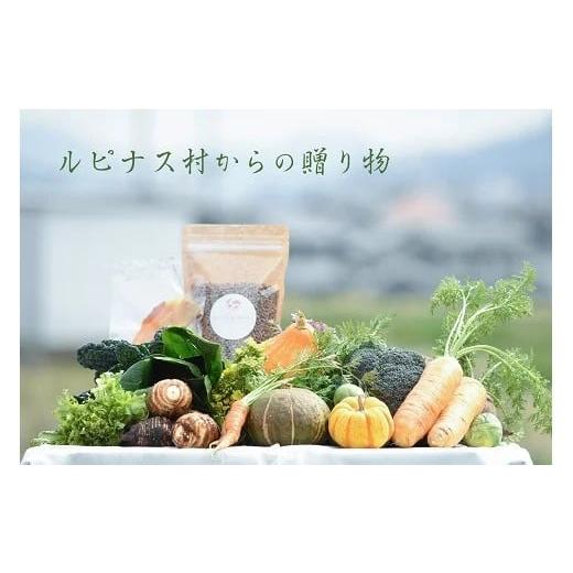 ふるさと納税 兵庫県 加古川市 自然栽培や地元野菜・グラノーラ300g×1個・乾燥野菜やドライフルーツ1個[ 野菜 加工品 玄米 贈り物 プレゼント 健康 グラノー…