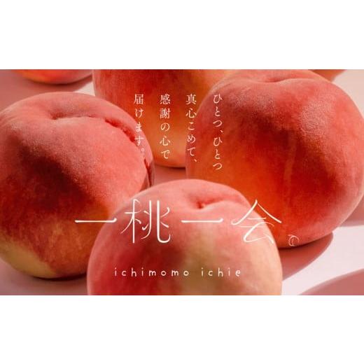 ふるさと納税 もも 福島県 伊達市  2026年出荷分先行予約 福島県産 スイート麗 約1.5kg (6〜9玉) 高橋もも園 皮まで食べられる新品種 伊達の桃 桃 フルーツ 果…の画像