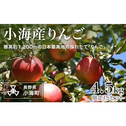 ふるさと納税 りんご 長野県 小海町 先行予約 小海産りんご 4.5kg