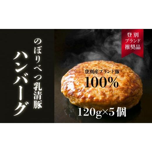 ふるさと納税 肉 ハンバーグ 北海道 登別市 のぼりべつ乳清豚(ホエー) ハンバーグ120g×5個 120g×5個