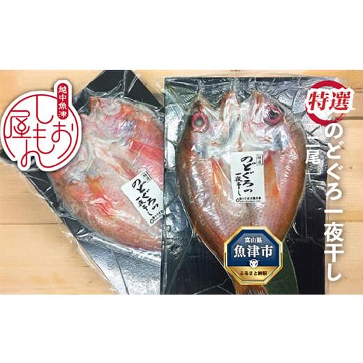 ふるさと納税 干物 富山県 魚津市 脂じゅわり 特選 のどぐろ一夜干し2尾 富山産(1尾200g以上)ハマオカ海の幸 北海道、沖縄、離島配送不可