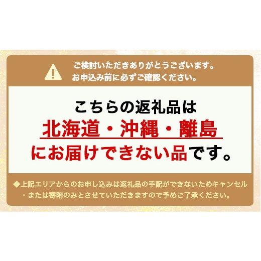 ふるさと納税 コーヒー コーヒー豆 富山県 魚津市  6ヶ月定期便 「ブルーマウンテンNO.1」500g（豆）自家焙煎コーヒー豆専門店とみかわの画像