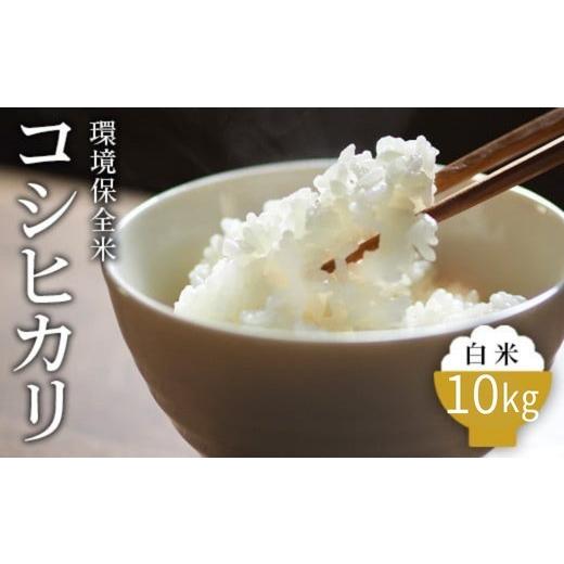 ふるさと納税 米 コシヒカリ 富山県 魚津市 令和7年産 白米 環境保全米