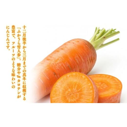ふるさと納税 果汁飲料 にんじん 青森県 深浦町 3カ月定期便 ふかうら 人参 ジュース 195g 30本の画像