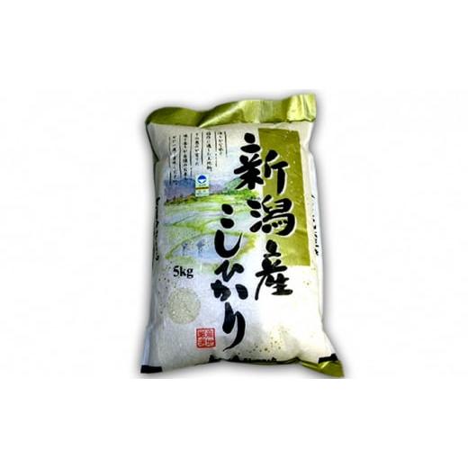 ふるさと納税 米 コシヒカリ 新潟県 新潟市 特別栽培コシヒカリ 5kg お米 コシヒカリ