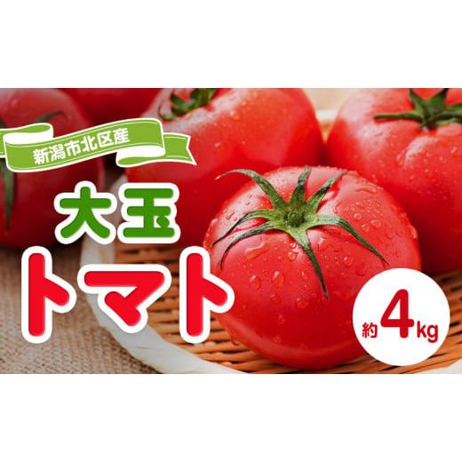 ふるさと納税 新潟県 新潟市 トマト 大玉系 約4kg 23〜24玉 ( にごりかわトマト または 豊栄トマト) とまと 野菜 新鮮 産地直送 新潟県産 新潟市産 期間限…