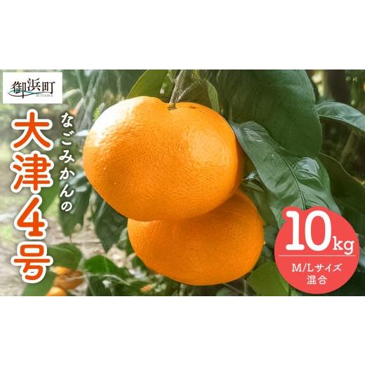 ふるさと納税 果物類 みかん 三重県 御浜町 なごみかんの大津4号10キロ 数量限定 果物 フルーツ みかん 温州みかん 大津4号 デザート 10kg 三重県 御浜町