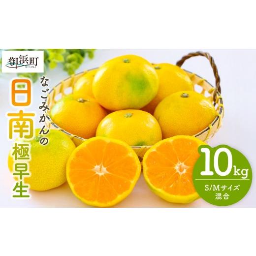 ふるさと納税 果物類 みかん 三重県 御浜町 なごみかんの日南10キロ 数量限定 果物 フルーツ みかん 極早生みかん 極早生 デザート 10kg 三重県 御浜町