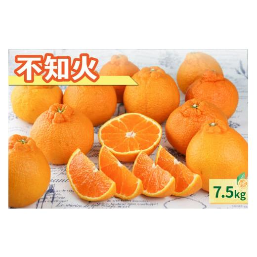 ふるさと納税 果物類 みかん 三重県 御浜町 2027年発送先行予約品 なごみかんの不知火7.5キロ 数量限定 果物 フルーツ みかん 不知火 しらぬい デザート 7.5k…