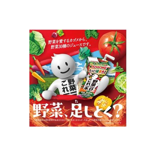 ふるさと納税 果汁飲料 やさい 長野県 富士見町  定期便 3ヶ月 カゴメ 野菜一日これ一本 24本×3回 野菜ジュース 紙パック 定期便 1日分の野菜 野菜100％ 飲料…_4