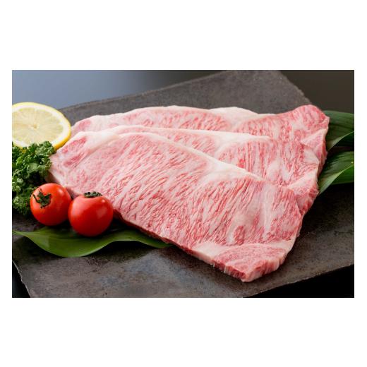 ふるさと納税 牛肉 ロース 佐賀県 伊万里市  全6回 佐賀牛 定期便 総計6.05kg 999-J474_5