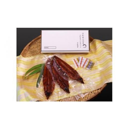ふるさと納税 うなぎ 愛知県 西尾市 通常発送 三河産うなぎ特大サイズ蒲焼×3尾(530g〜550g) 鰻 ウナギ 国産うなぎ 本格 鰻 蒲焼き 愛知県 西尾市 愛知養魚 …