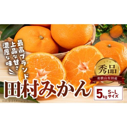 ふるさと納税 果物類 みかん 和歌山県 湯浅町 BD7004n_01_ 1月出荷 有田の高級みかん 田村みかん 秀品 たっぷり 5kg ギフトにもオススメ (S〜Lサイズおまかせ)…