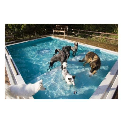 ふるさと納税 和歌山県 湯浅町 AL6009_ペットと泊まるログコテージの宿『パートナーズハウスゆあさ』3名様宿泊券（1泊2食付） その他サービス