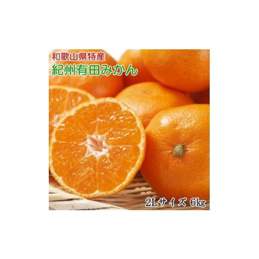 ふるさと納税 果物類 みかん 和歌山県 湯浅町 ZD7015_ 2026年先行予約 秀品 和歌山 有田みかん 6kg(2Lサイズ)